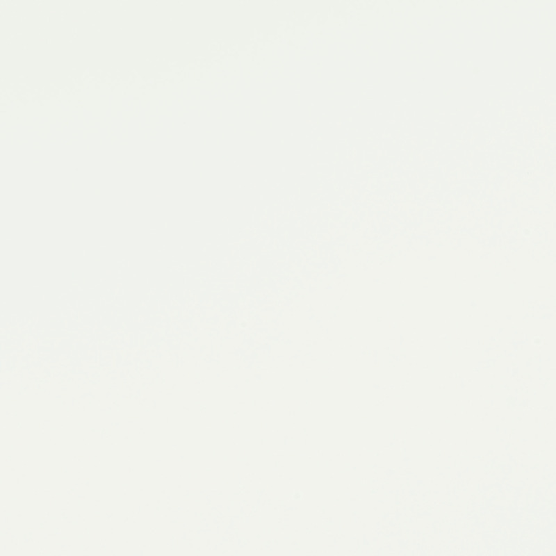 ARPA 0249 BIANCO DECO' CERA