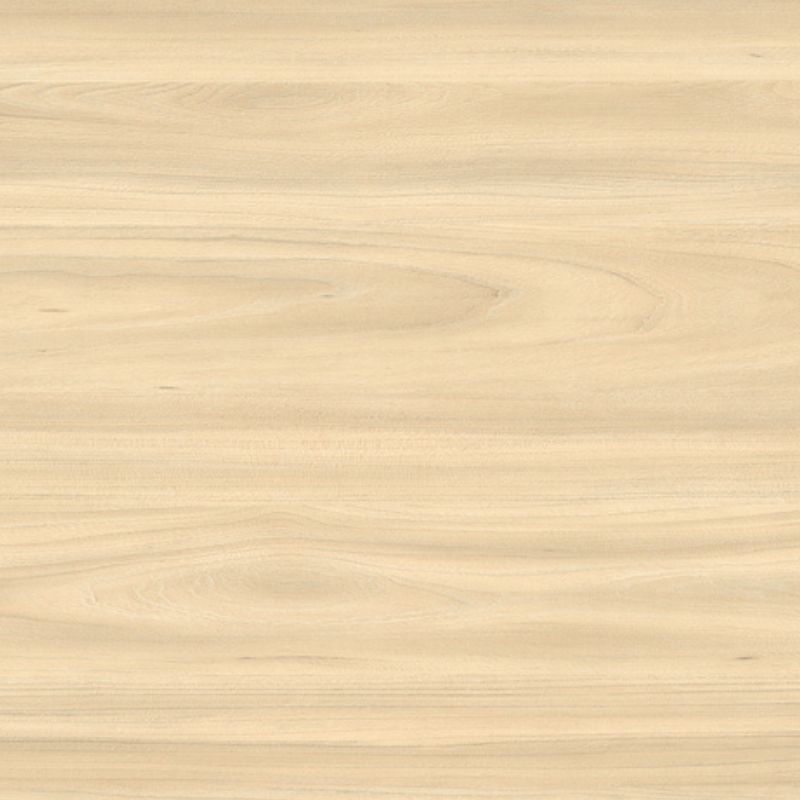 ARPA 4538 OLMO BIANCO ALEVÉ