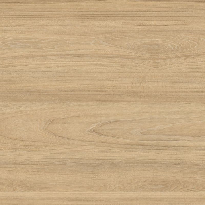 ARPA 4539 OLMO MERCURIO ALEVÉ
