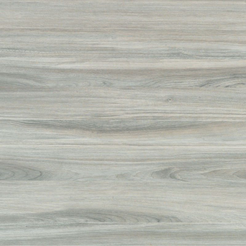 ARPA 4631 TAGES ALEVE'